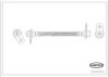 CORTECO 19036995 Brake Hose